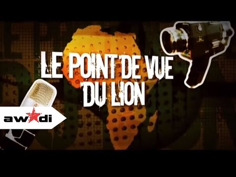 Le point de vue du lion - Didier AWADI